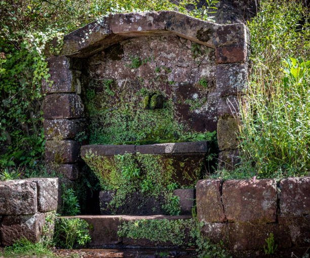 istock Levada Do Risco, PR6, from Rabacal Madeira, Portugal, Europe 1187058246