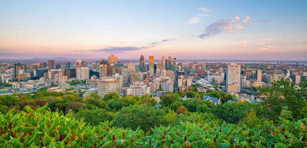 istock Montreal from top view at sunset in Canada 1187060718