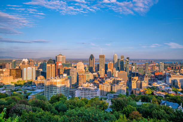 istock Montreal from top view at sunset in Canada 1187060722