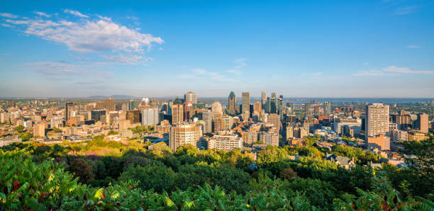 istock Montreal from top view at sunset in Canada 1187060728