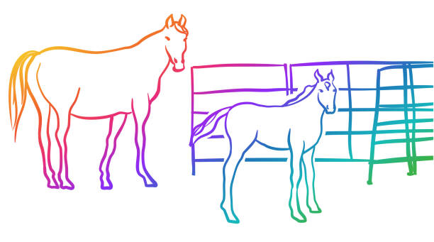 27 Mating Of Horses Drawing Illustrations & Clip Art - iStock 27 Mating Of Horses Drawing Illustrations & Clip Art - iStock