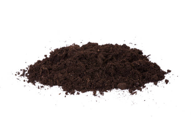 istock Heap of soil isolated on a white background 1187065344