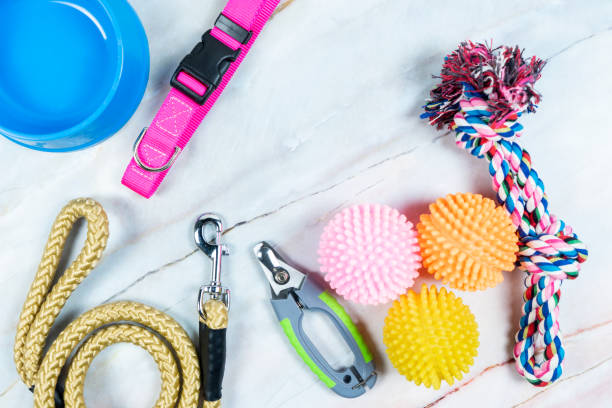 istock Pet accessories concept.  Toy, Collars, nail scissor and Leashes with copy space 1187065901