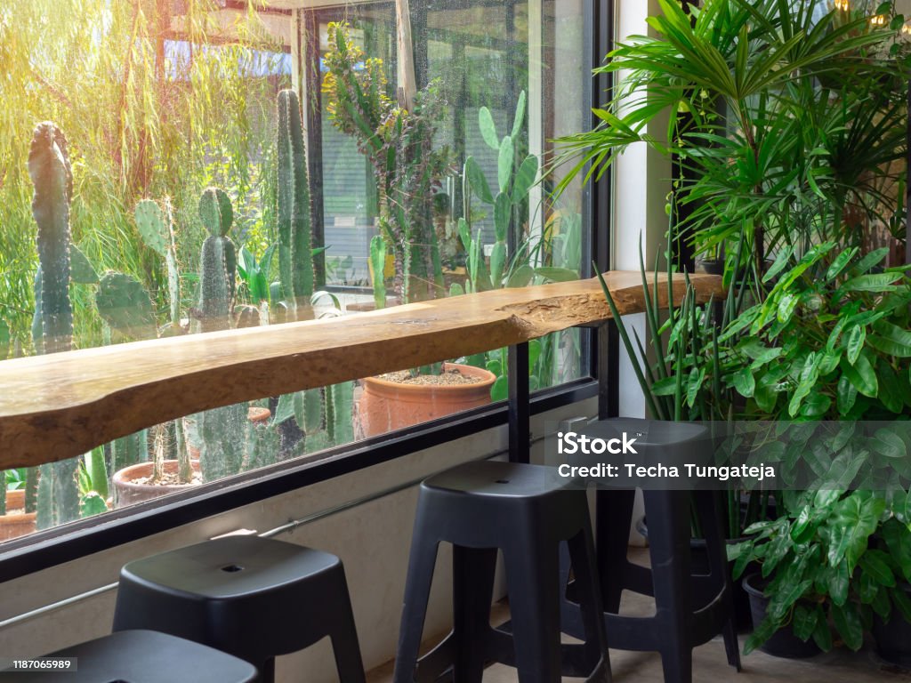 Live edge bar table and black chairs in cafe. Live edge bar table and black chairs with the green garden in cafe with cactus garden outside the glass window. At The Edge Of Stock Photo