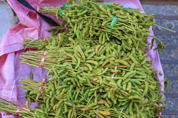 istock Bundle of Green soybeans. Edamame seeds. 1187067190