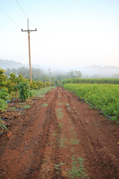 istock Tractor Traces on muddy road. 1187067291