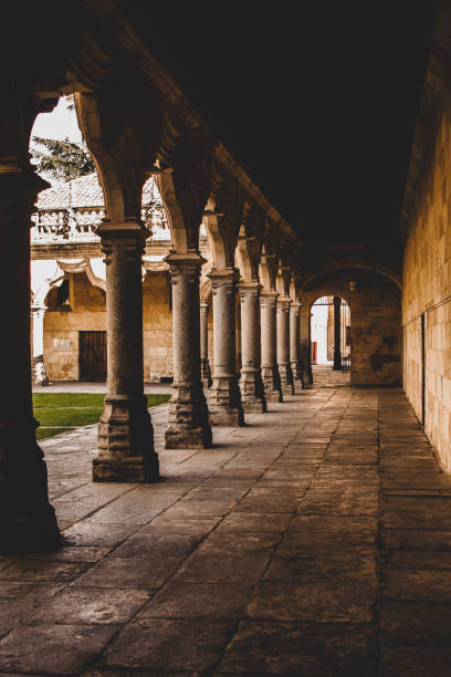 istock Walk through the courtyard of the university 1187068829