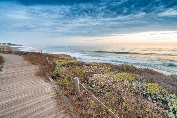 istock Wooden path along the ocean at dusk 1187069687
