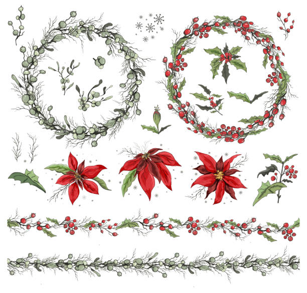 ilustrações de stock, clip art, desenhos animados e ícones de set of winter flowers, branches. hand-drawn botanical doodling in a realistic style. seamless garland with seasonal elements for your ideas, paper greeting cards, posters, advertising. - european mistletoe