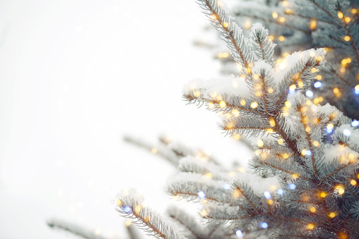 istock El árbol de Navidad y la luz de Navidad 1187074559