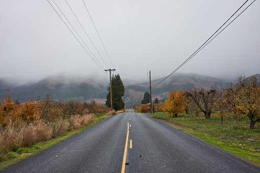 Open country road in a rural area in Oregon on a cloudy autumn day.