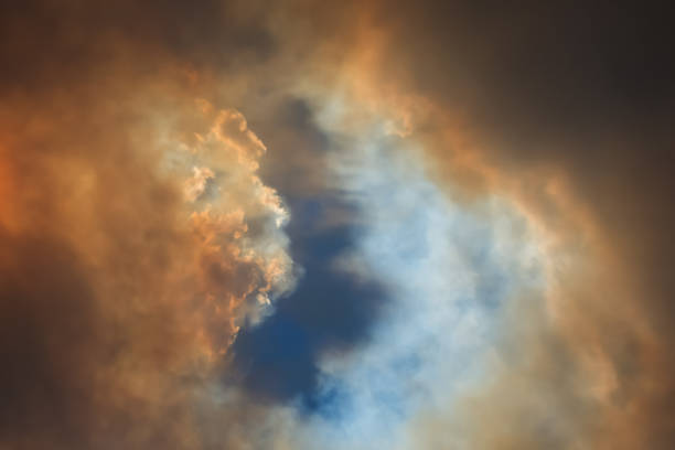 incendio sortea australiano: el humo de los incendios forestales cubre el cielo - tree branch burnt silhouette fotografías e imágenes de stock