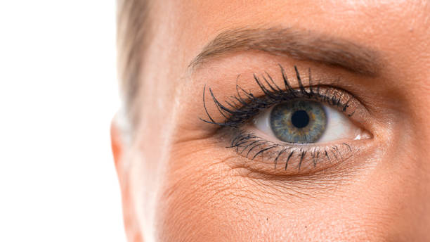 中年女性の目をクローズアップ。視力コンセプト - lid ストックフォトと画像