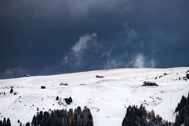 альп сиуси зимой - forest alp tirol hiking стоковые фото и изображения