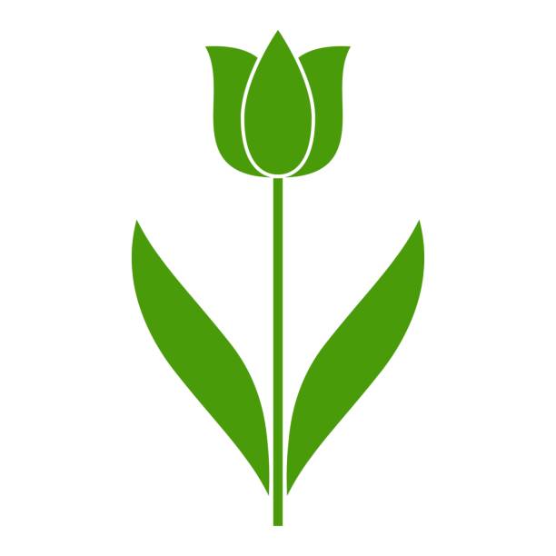 illustrazioni stock, clip art, cartoni animati e icone di tendenza di bocciolo di tulipano con logo vettoriale foglie. stile piatto a simmetria semplice. - bud flower tulip flowers