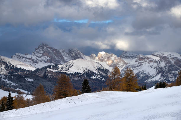 istock Alpe di Siusi in winter, Dolomite, Italy 1187084848