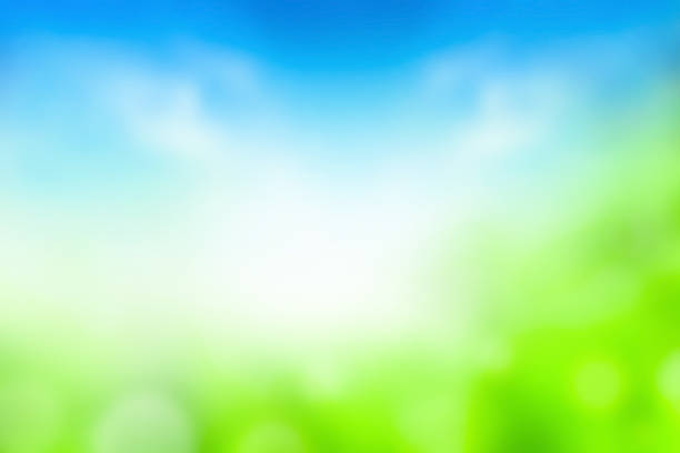 istock World Environment Day concept: Abstract blurred beautiful green and blue sky  background 1187085876