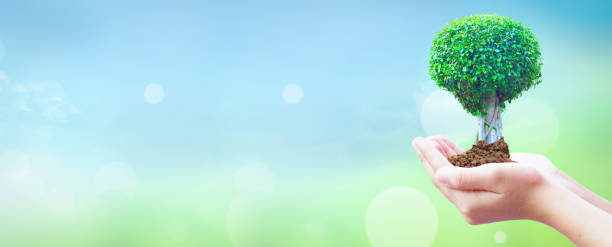 istock World Environment Day concept:  hands holding big tree over  sky background 1187085886