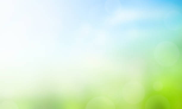 istock World Environment Day concept: Abstract blurred beautiful green and blue sky  background 1187085900