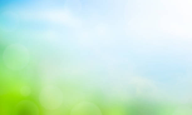 istock World Environment Day concept: Abstract blurred beautiful green and blue sky  background 1187086078