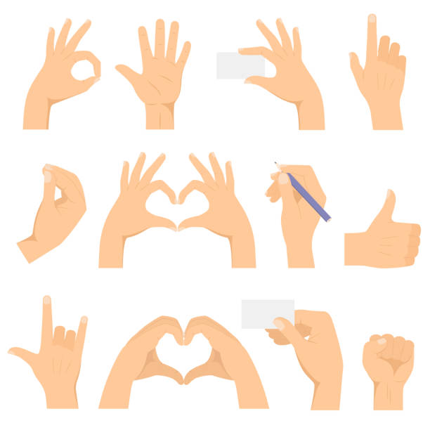 Hand gestures set. Hands make a gesture. Shows OK, heart, thumb up, horns, fist, index finger, holds business card and a pencil. Hand gestures set. Hands make a gesture. Shows OK, heart, thumb up, horns, fist, index finger, holds business card and a pencil. Isolated vector illustration hand sign illustrations stock illustrations