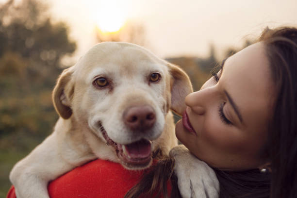 istock Young woman holding her Labrador dog 1187087436