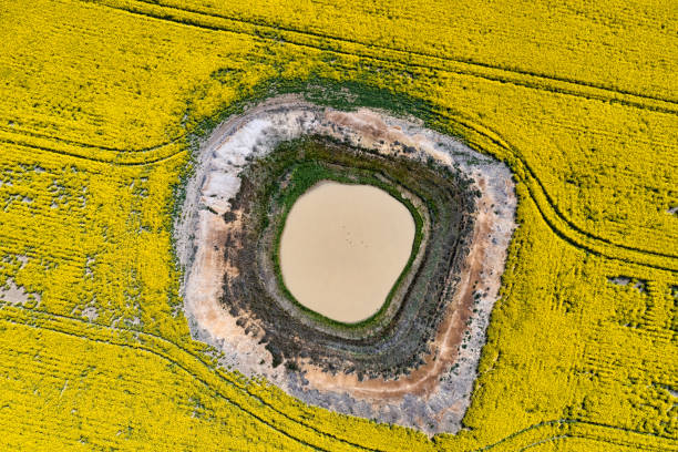 Aerial view of crops and drying up dams Aerial canola field views and a dam with very low water levels after very little rain, dry conditions in rural outback Australia cowra stock pictures, royalty-free photos & images