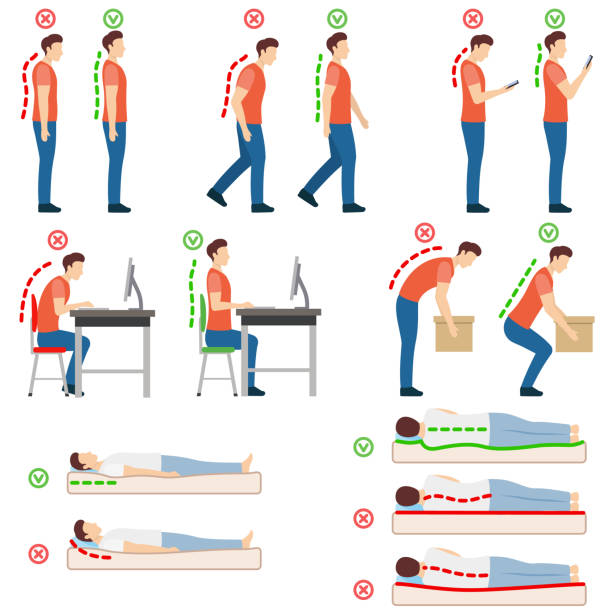 Good posture. Correct and incorrect human poses. Neutral spine. Man standing, walking, looking at a smartphone, sitting at a computer, lifting object, lying on back and on side. Good posture. Correct and incorrect human poses. Neutral spine. Man standing, walking, looking at a smartphone, sitting at a computer, lifting object, lying on back and on side. Vector illustration standing stock illustrations