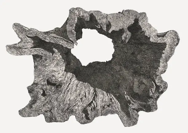 Vector illustration of Hollow Tree Trunk