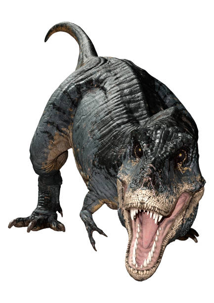istock 3D illustration dinosaur Tyrannosaurus Rex on white 1187090671