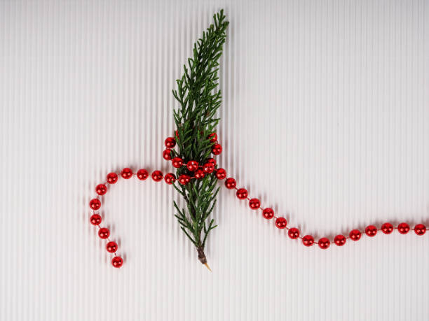 Minimal holiday concept. New year simple composition. card. Christmas tree with red beads.
