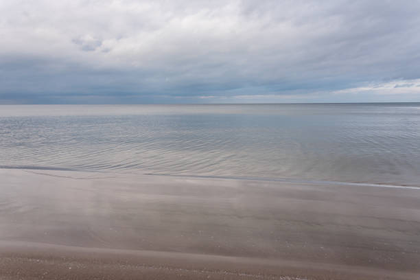 istock Baltic Sea Beach in November on a Cloudy Day 1187092888
