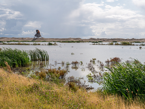 Watchtower and marshland on manmade artificial island Marker Wadden, Markermeer, Netherlands