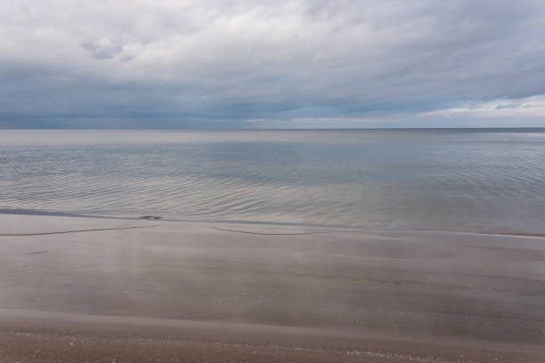 istock Baltic Sea Beach in November on a Cloudy Day 1187093823
