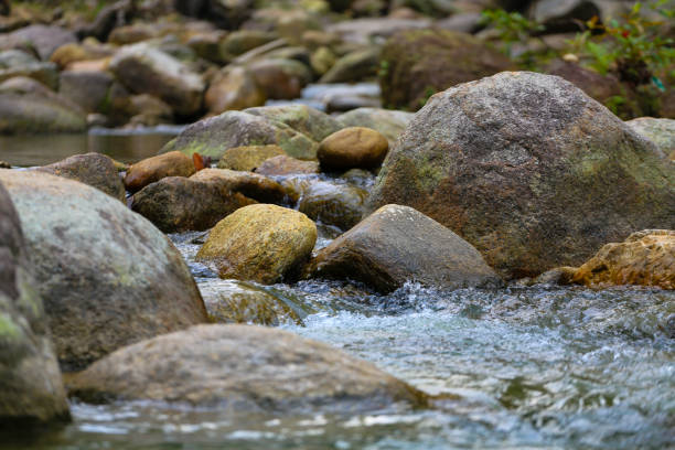 istock The Beauty of Nature 1187097292