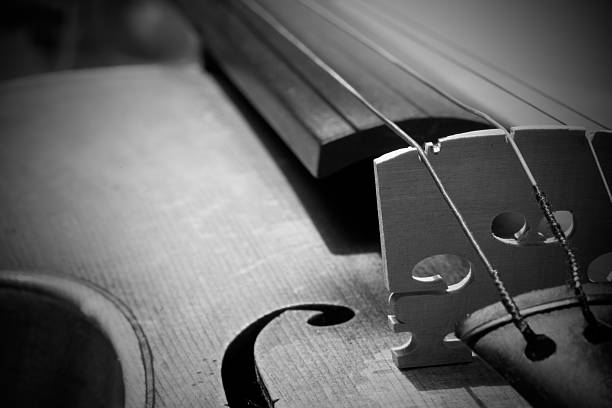 istock Close-up on Violin detail 118709781