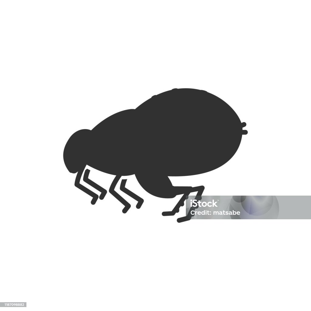 Flea Design Flea Stock Illustration - Download Image Now - Animal, Animal Themes ...