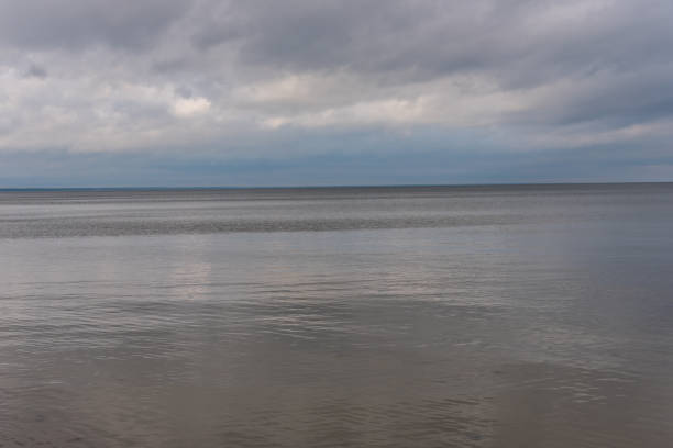 istock Baltic Sea Beach in November on a Cloudy Day 1187099637