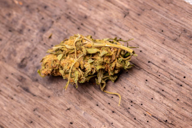 istock dry marijuana on a background of bog oak 1187099874