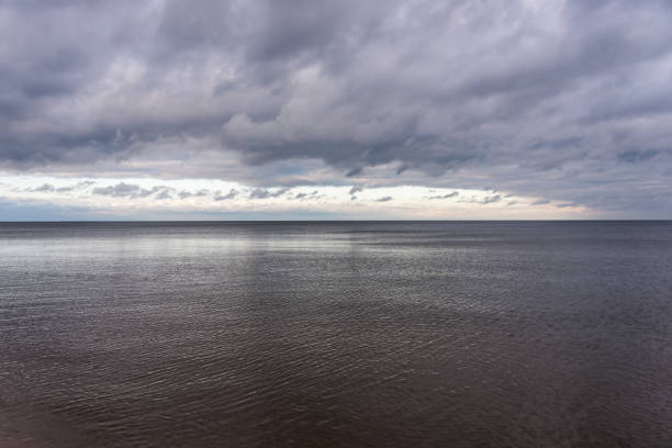 istock Baltic Sea Beach in November on a Cloudy Day 1187099949