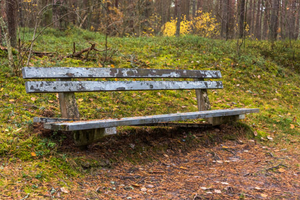 istock Old Broken Wooden Bench in a Forest 1187100020