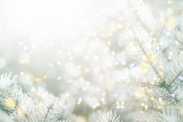 istock Christmas tree and Christmas light 1187100054