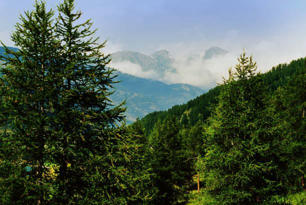 france alps provence haute alpes mountains