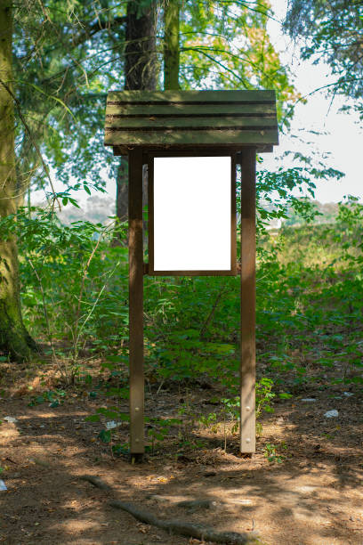 istock Plate on a wooden support with a empty copy space in the forest 1187103026