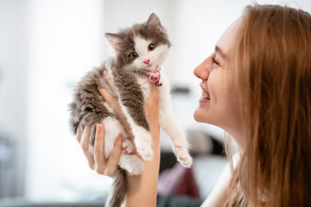 istock The Best of Friends 1187105010