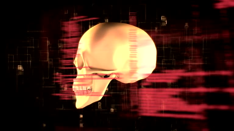 16,200+ Human Skull Stock Videos and Royalty-Free Footage - iStock