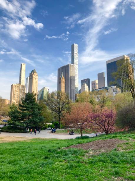 istock Central Park New York City 1187108109