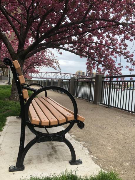 istock Bench in New York City 1187111234