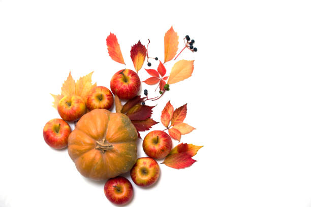 istock Flat lay frame with colorful autumn leaves and gift box on a white background 1187112063