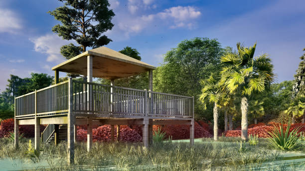 istock Fishing pier in the swamp 1187112937